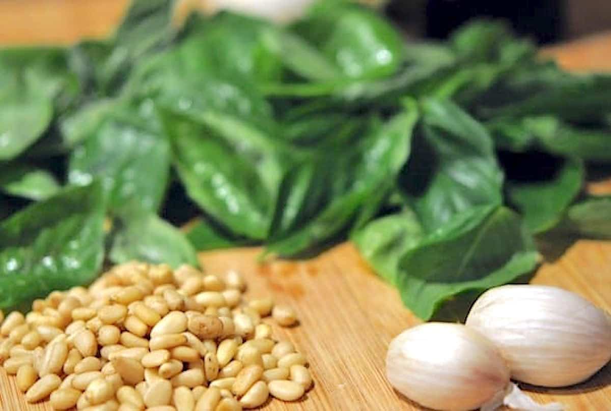 East Basil Pesto Recipe with five ingredients