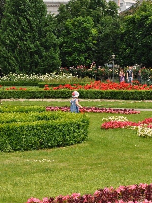 The Volksgarten (People's Park), Rose Garden in Vienna.