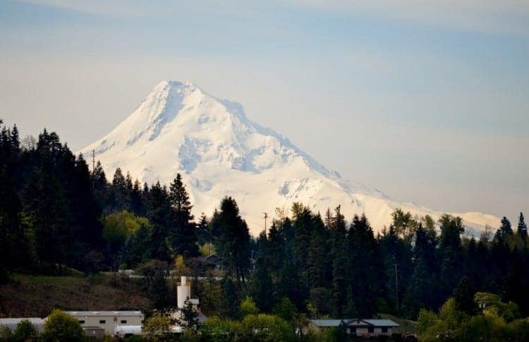 And you won't find scenery like this aboard an ocean cruise! That's Mt. Hood in Oregon aboard the Queen of the West on the Columbia River.