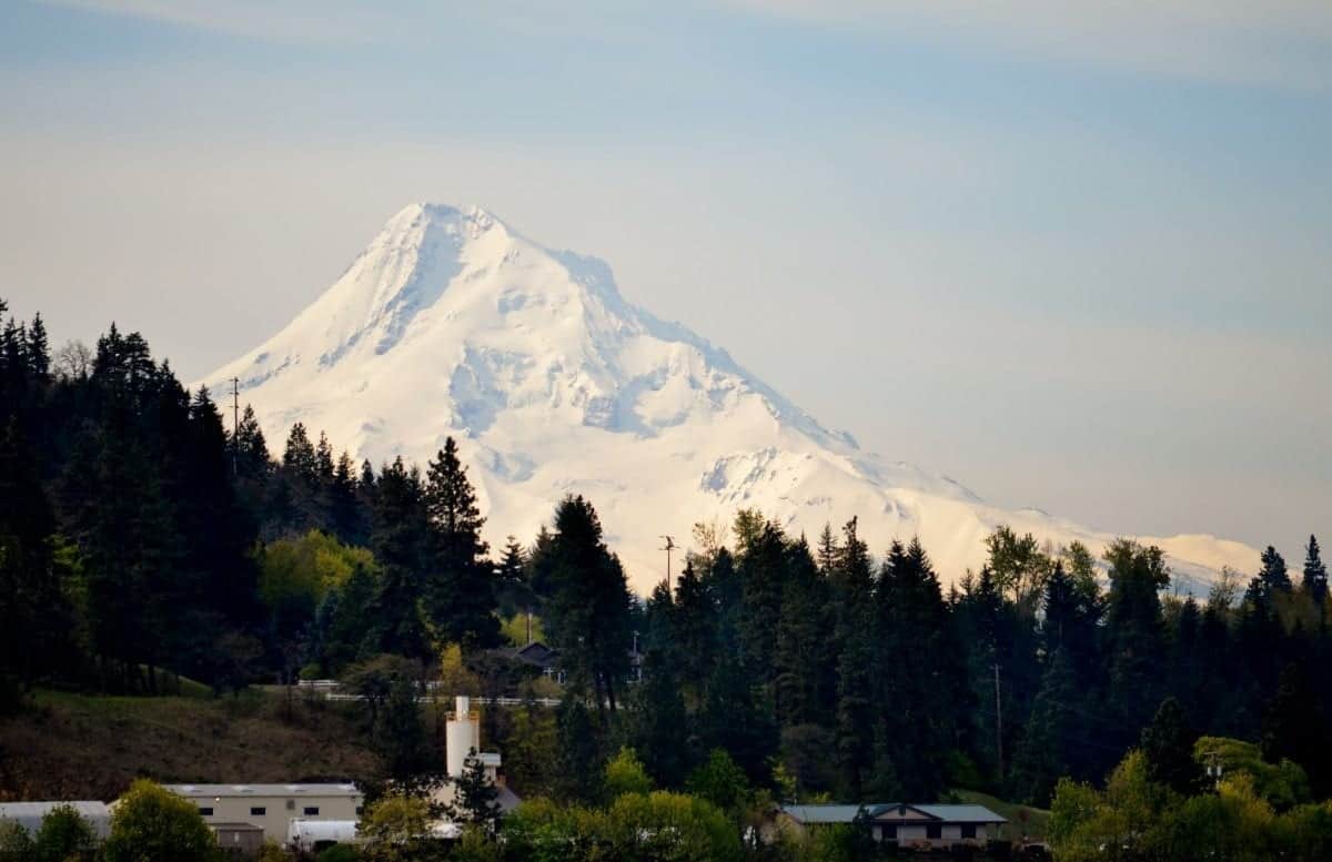 And you won't find scenery like this aboard an ocean cruise! That's Mt. Hood in Oregon aboard the Queen of the West on the Columbia River.