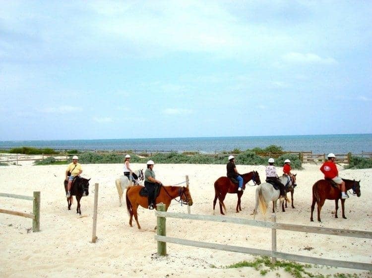 Why not try this next time you're in Grand Turk? Horseback ride on land and in the ocean.