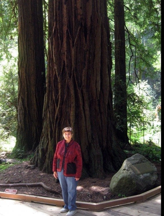 The author (Pat Woods) enjoys inhaling the fresh piney scent of giant coastal redwoods and bay trees while hiking in Muir Woods National Monument. Photo: Pat Woods