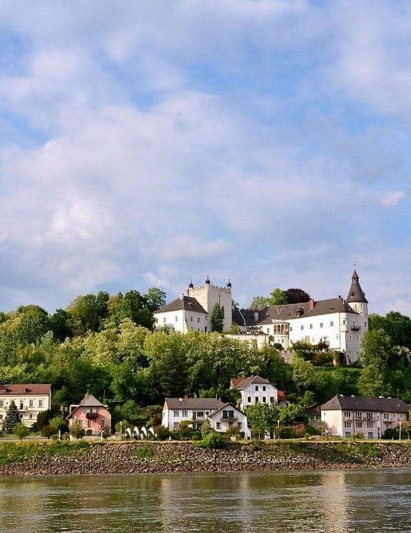 Castle on a hill and village below on a Rhine River cruise.