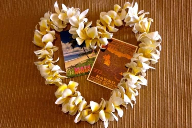 Plumeria lei in the shape of a heart with Hawai'i postcards. 