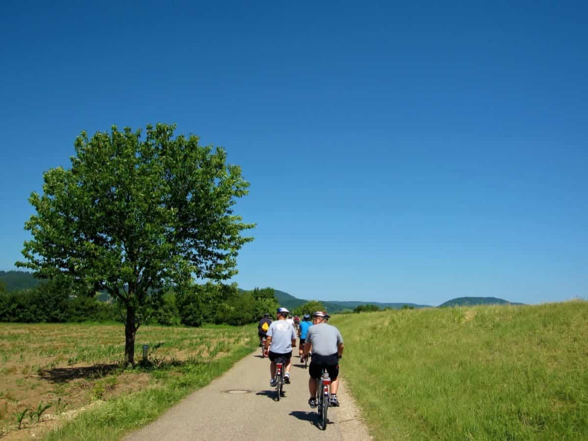 On AmaWaterways bike tour from Regensburg, Germany to the Valhalla Monument about 8 miles away.