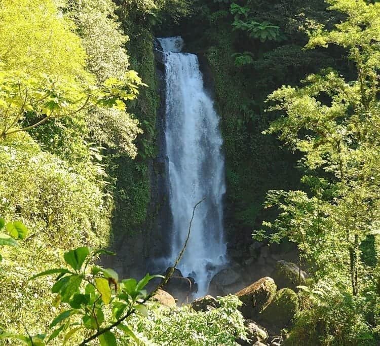 The first waterfall to view at Trafalgar Falls on your cruise to Dominica.