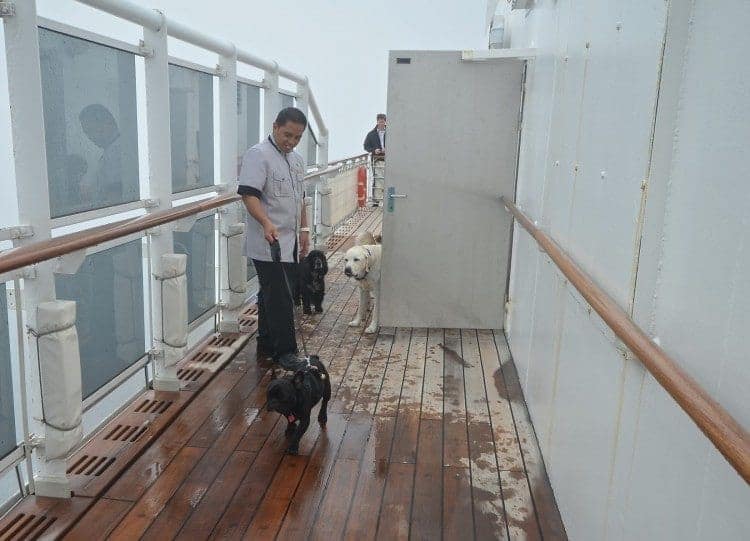 Out for a stroll on deck with the Kennel Master.