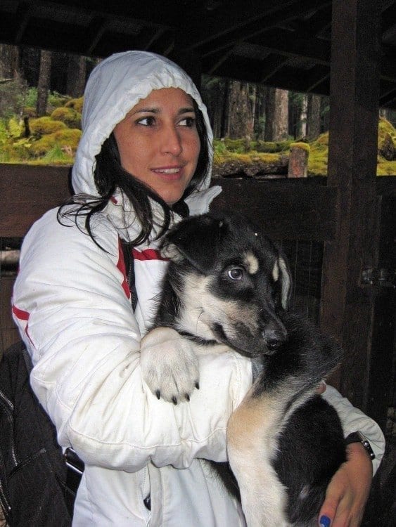 Puppy petting follows the ride on wheeled dog carts at Dog Musher's Camp in Juneau.