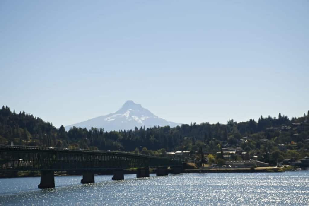 A Columbia River cruise yields all sorts of unexpected wonders, including Mt. Hood on a clear day.