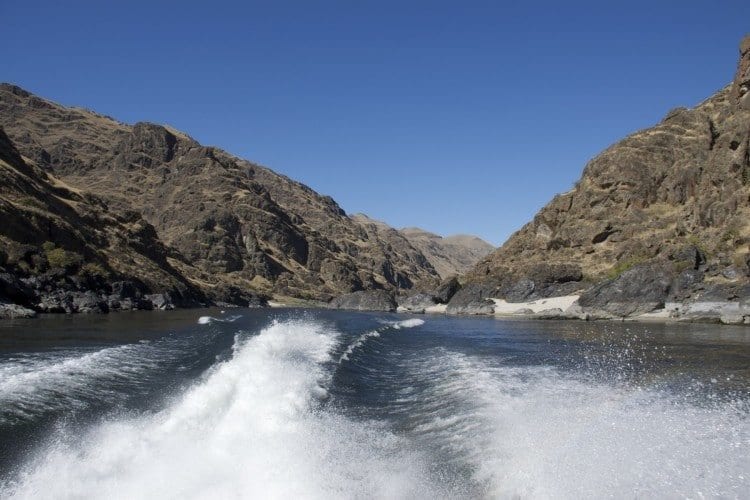 Jet boating in Hells Canyon