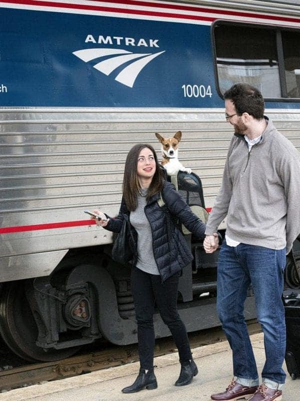 You can now travel with your pet on Amtrak. Certain rules and restrictions apply.