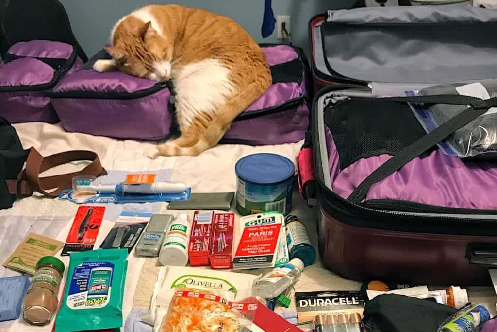 This is what not to pack for a cruise. Do not bring your cat on a cruise! Just kidding.
