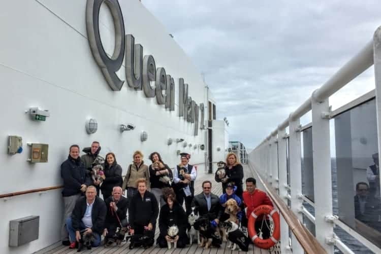 Queen Mary 2 remastering dog kennels.