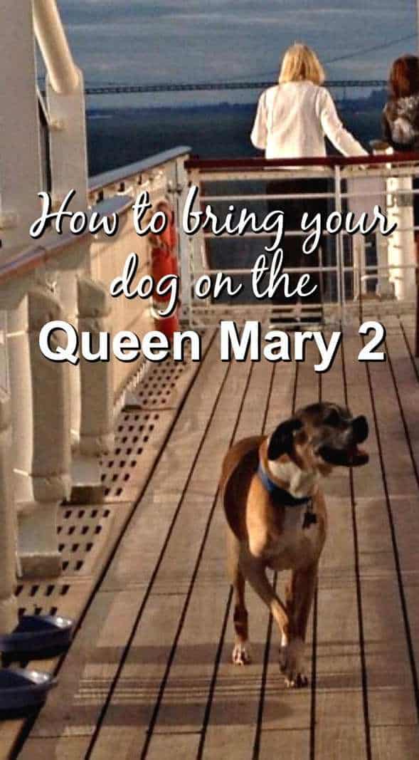 can dogs travel on queen mary 2