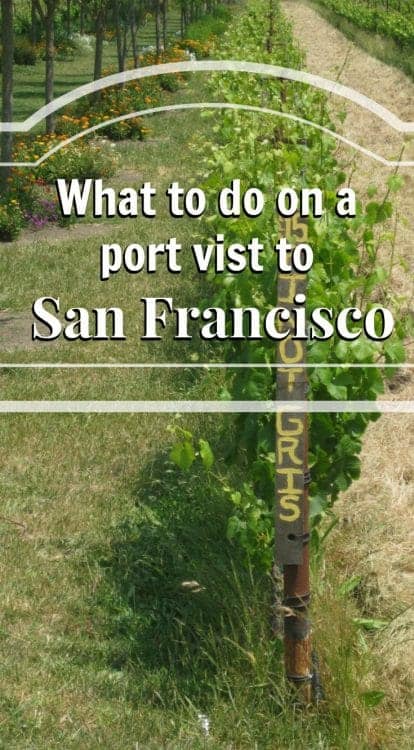 Jacuzzi Winery San Francisco Port Day