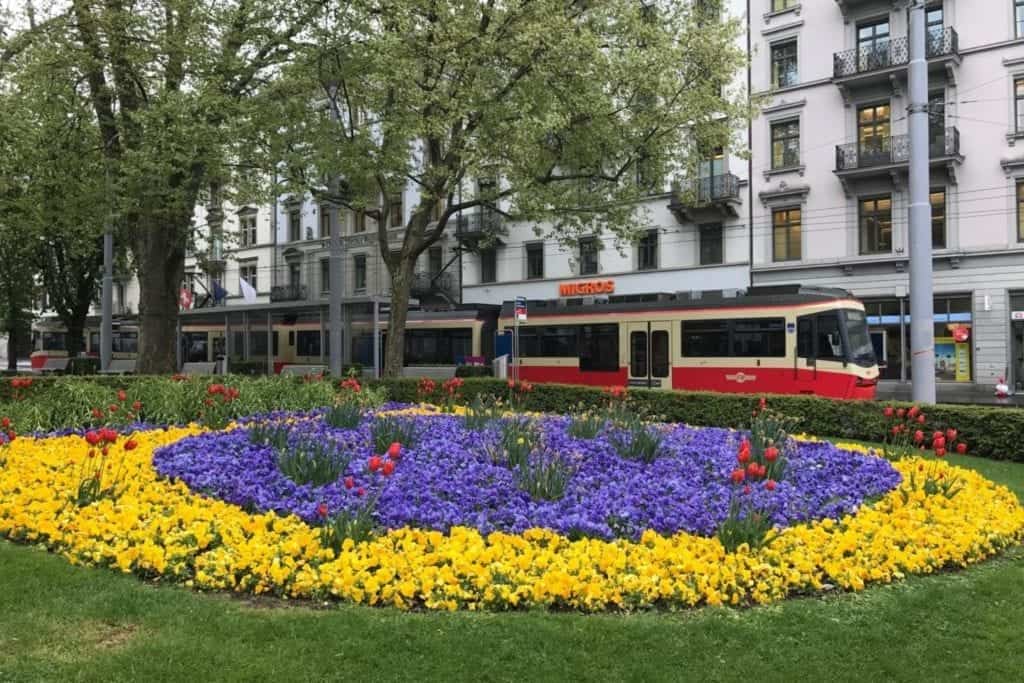 Spring flowers in the central downtown Zurich were soon covered in a layer of snow.