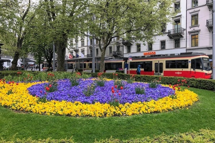 Zurich Spring Flowers in downtown