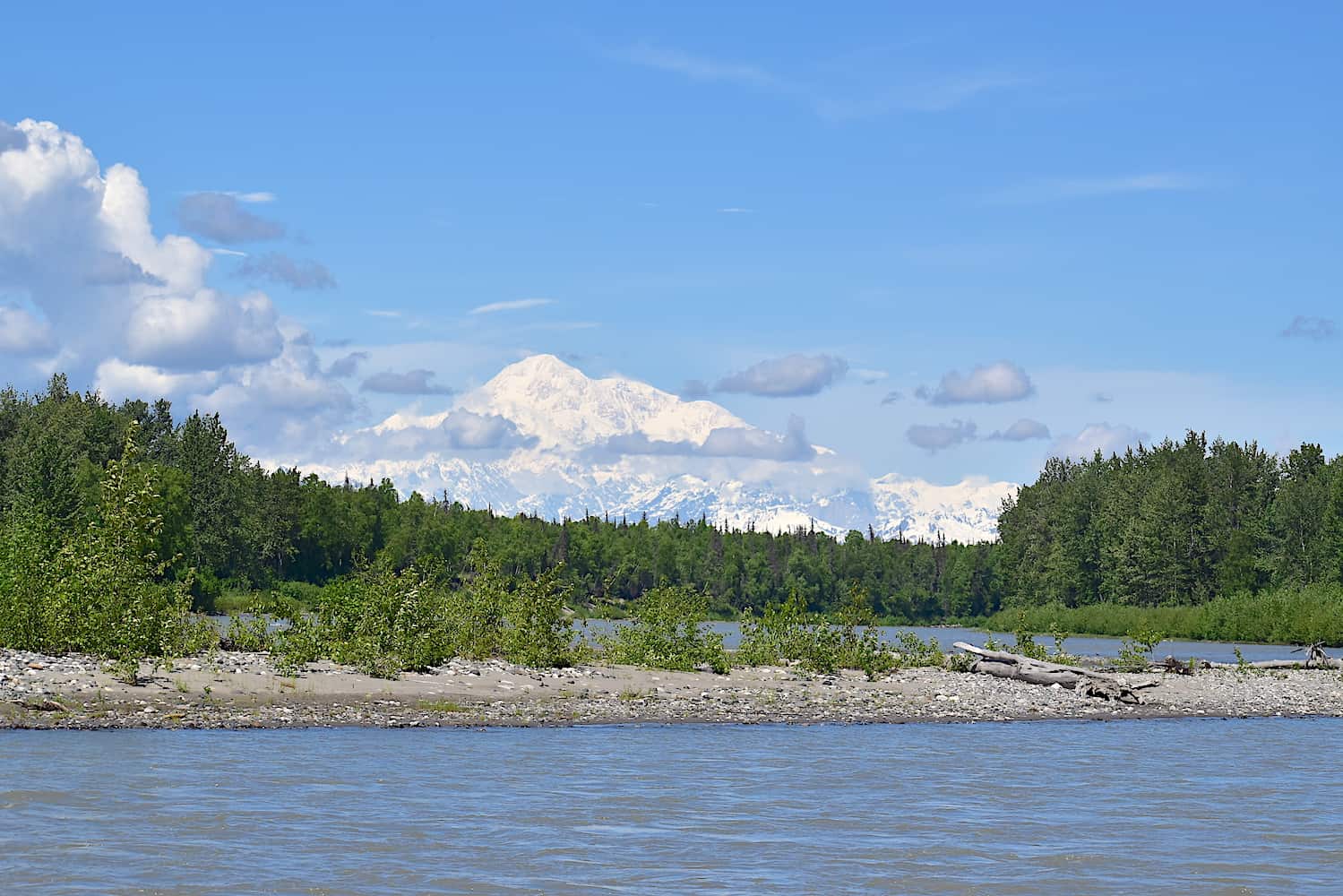 alaska cruise train ride denali