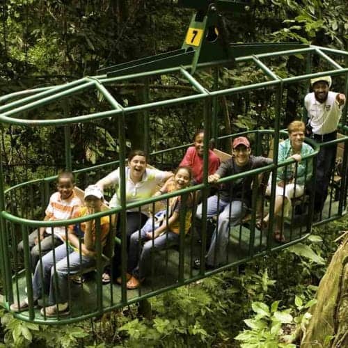 St Lucia Aerial Rainforest tram