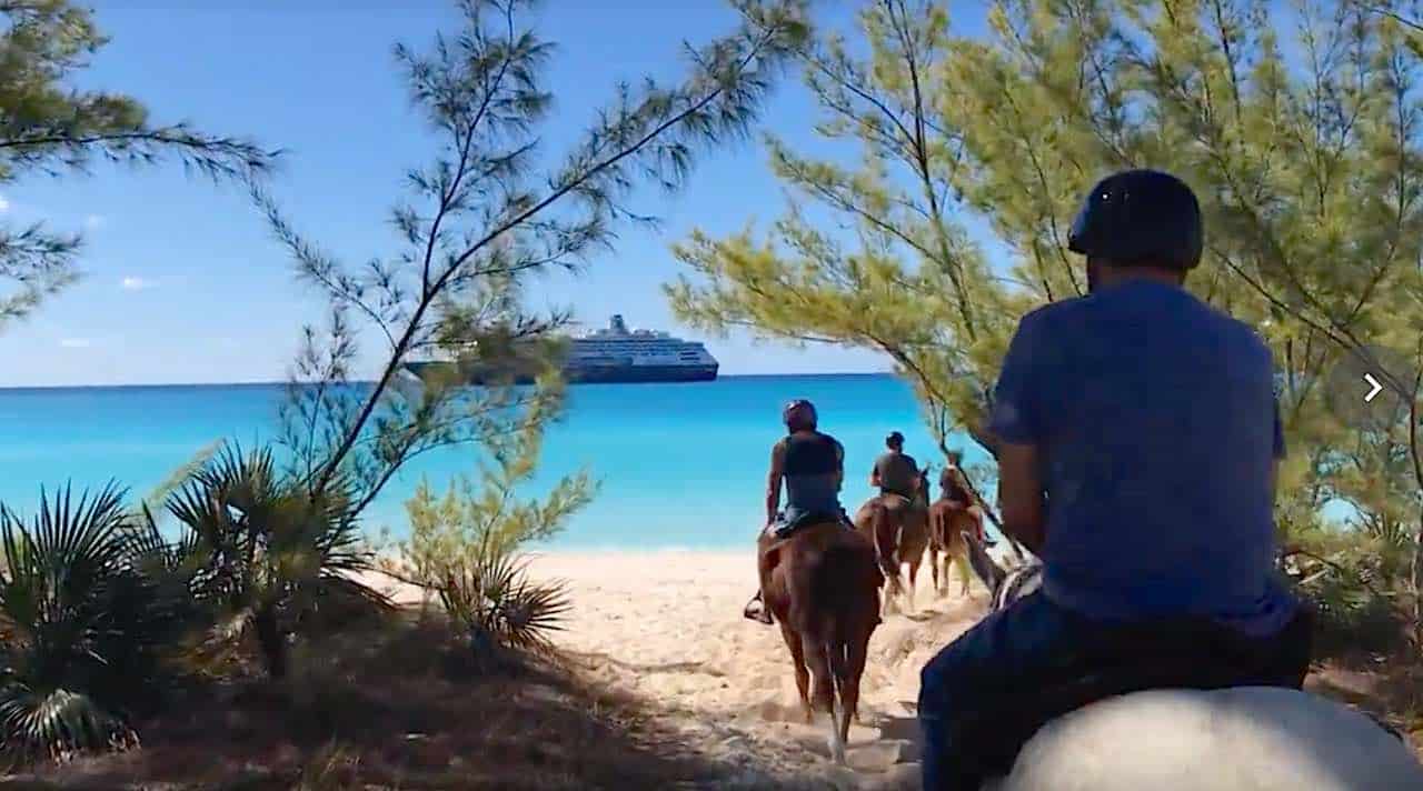 Half Moon Cay horses on the path to the ocean