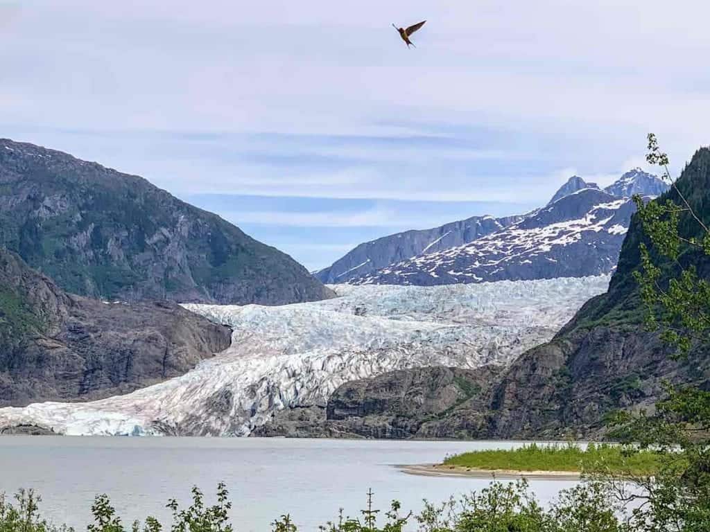 Mendenhall Glacier near Juneau Alaska