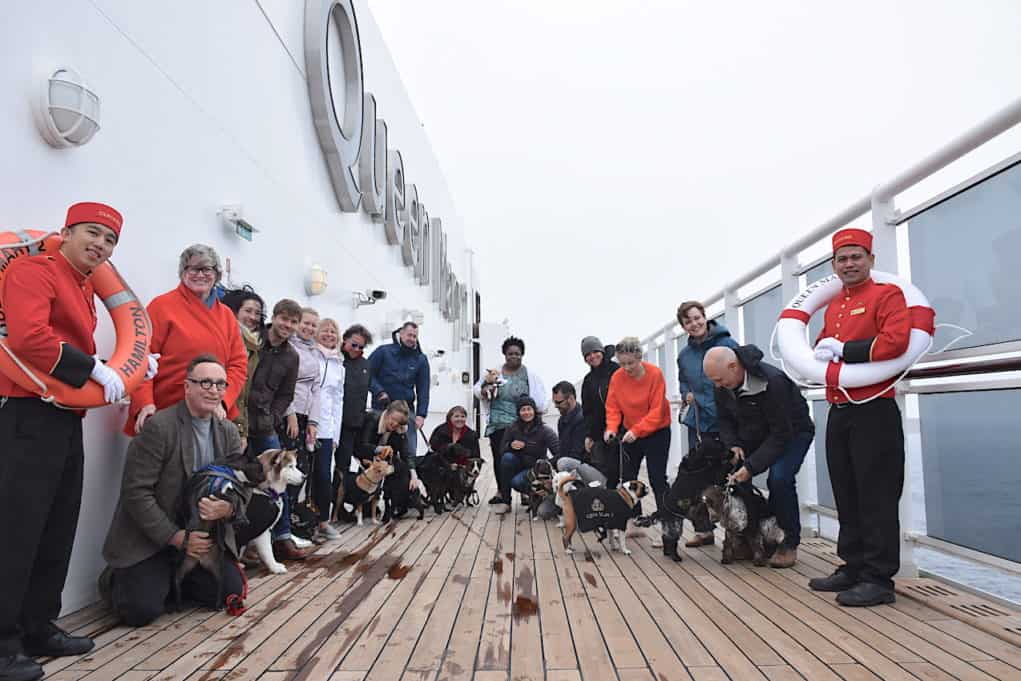 queen mary 2 pet travel