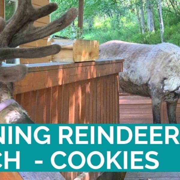 Running Reindeer Ranch Easy Oatmeal Chocolate Chip Cookie Recipe