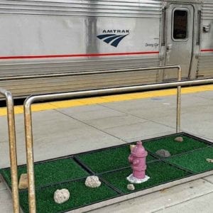 Amtrak station dog potty break area