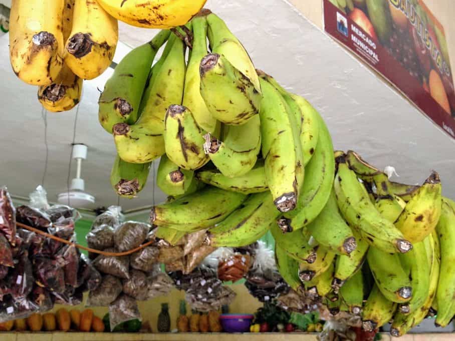 Mercado city market in Cozumel