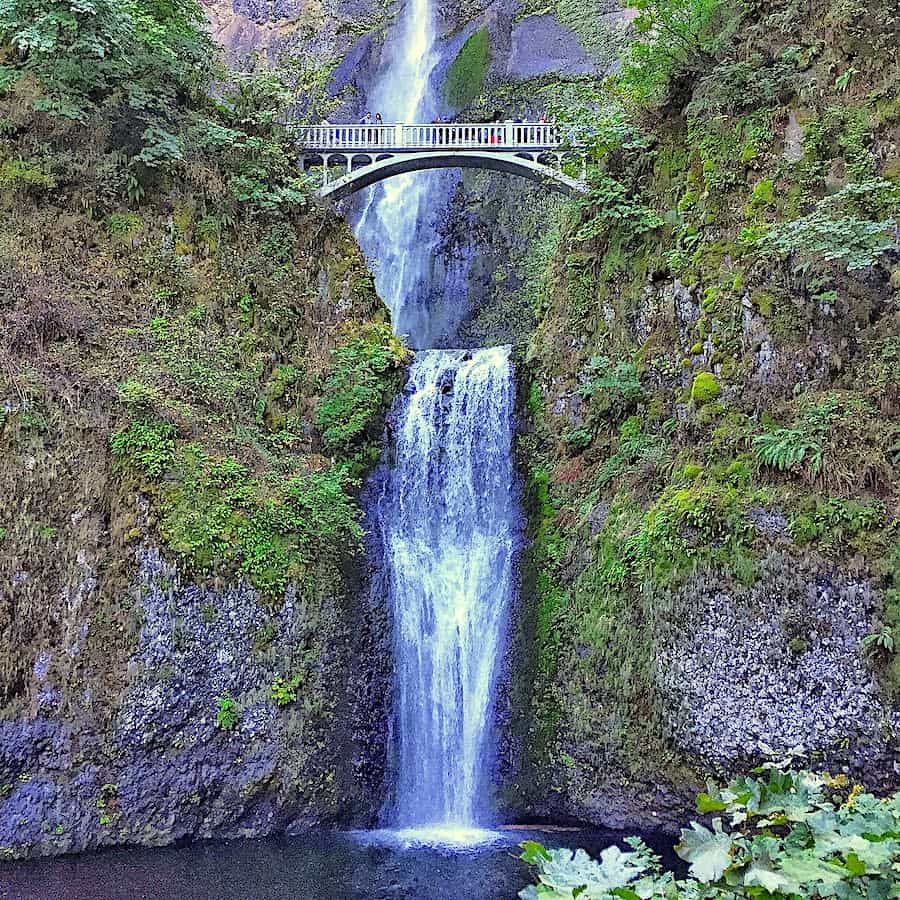 Cruising on Columbia and Snake rivers through Oregon