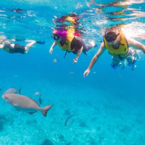 Cozumel snorkeling tour near a reef with hundreds of fish.