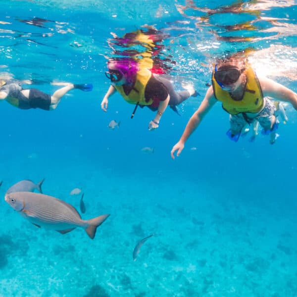 Review:  Cozumel National Marine Park Snorkeling Tour with Lunch