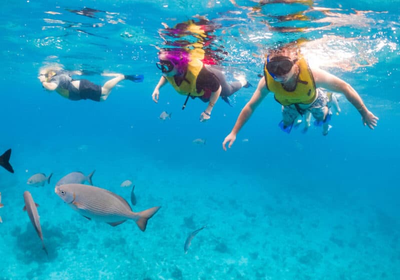 Review:  Cozumel National Marine Park Snorkeling Tour with Lunch