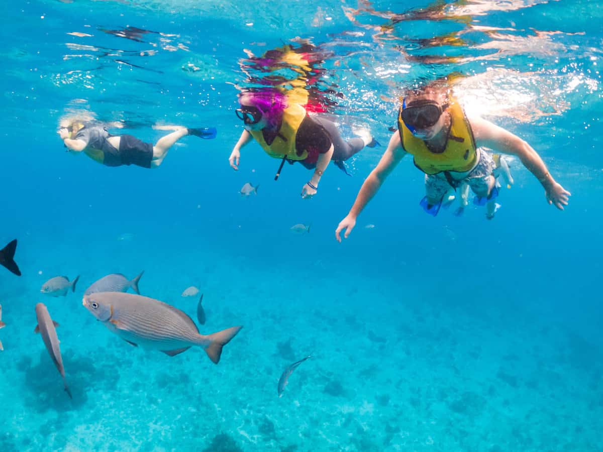 snorkeling in cozumel national marine park