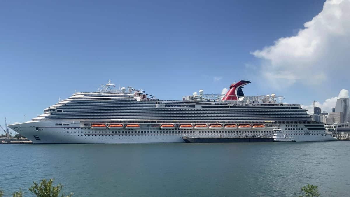 Carnival Cruise Passengers Sue Over Bed Bug Infestation in Cabin
