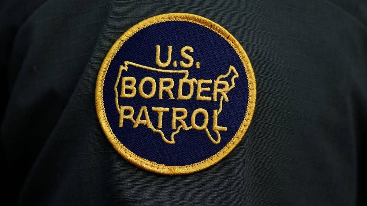 Federal Agents Storm Cruise Ship in Bold Onboard Arrest Operation Targeting Crew Members