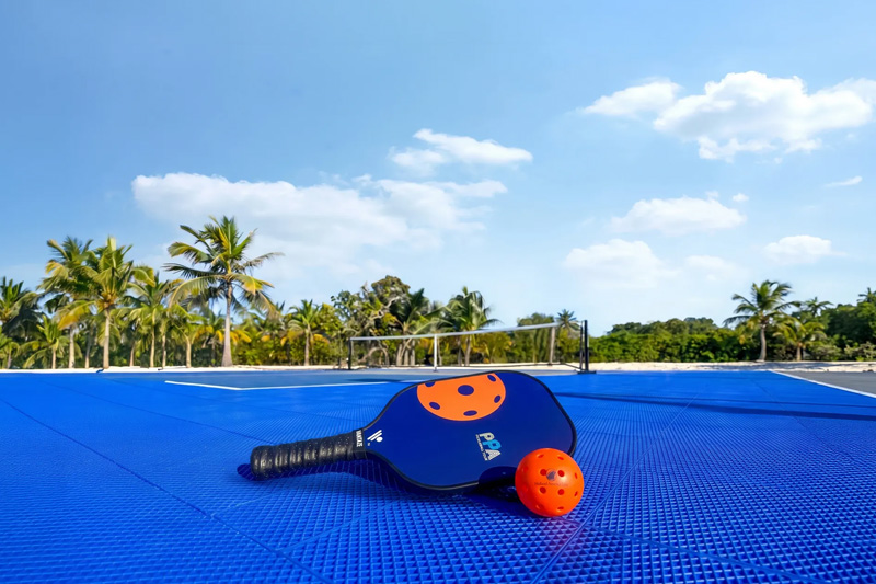 Holland America to Host Pickleball Association Invitational on a Private Island